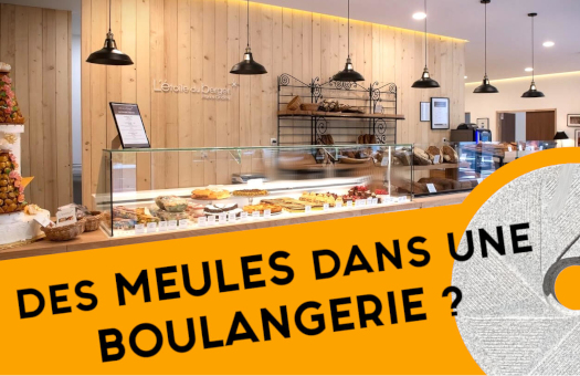 b1dcf-moulin_pour_boulanger.jpg